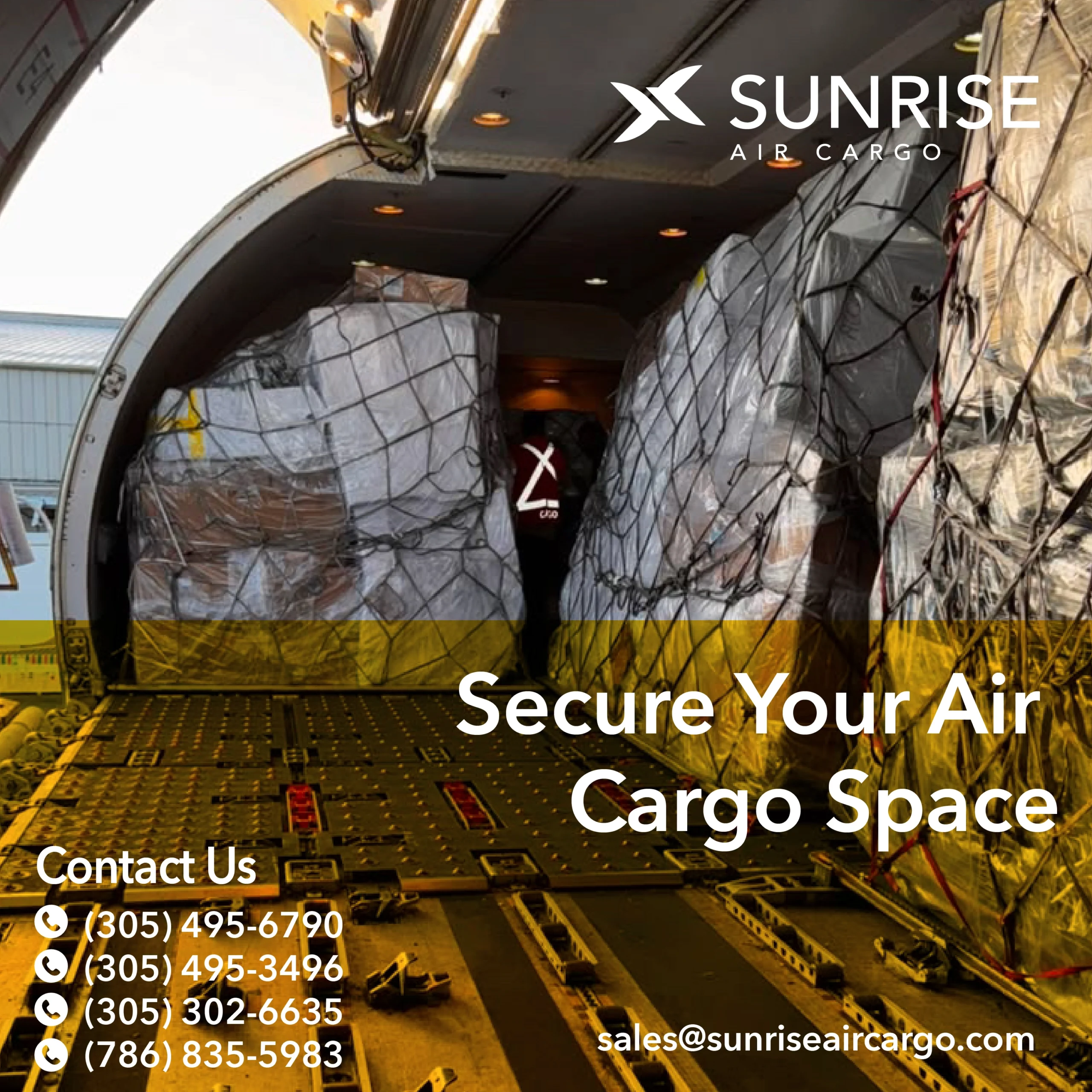 Critical Cargo Logistics